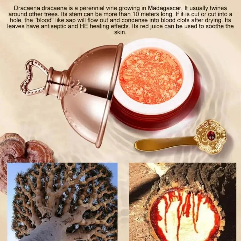 Dragon's Blood Face Cream Retinol Placenta Essence Brightening Lift Firming Skin Care Cosmetics